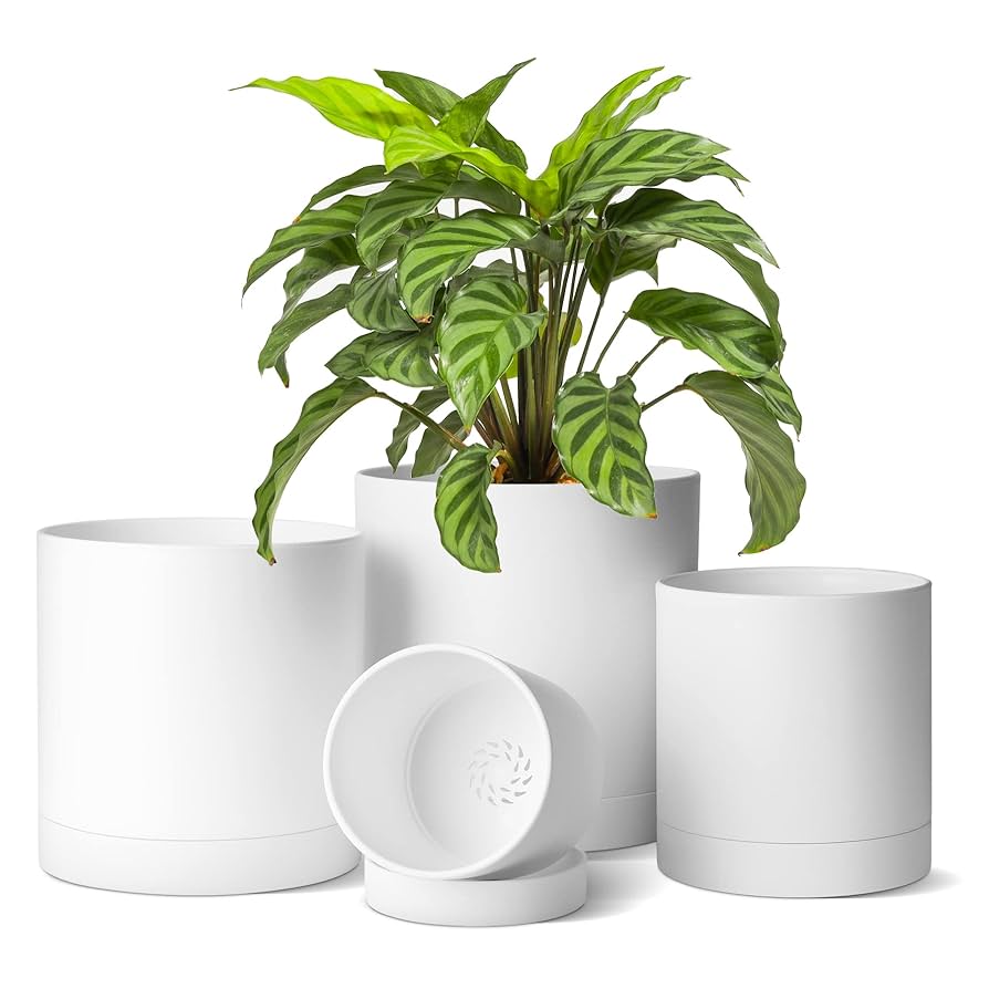 Amazon.co.jp: T4U 植木鉢 プラスチック プランター 4点セット